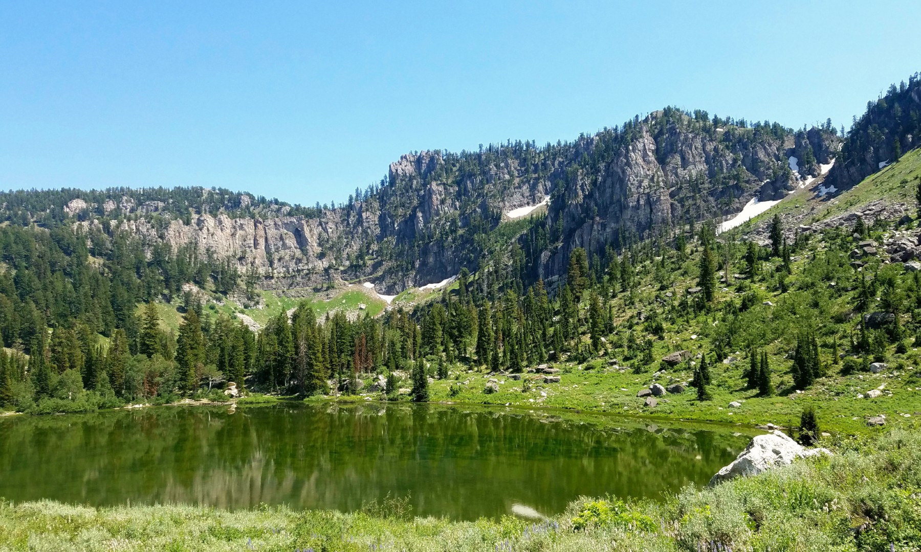 lake and mountains and trees landscape in utah