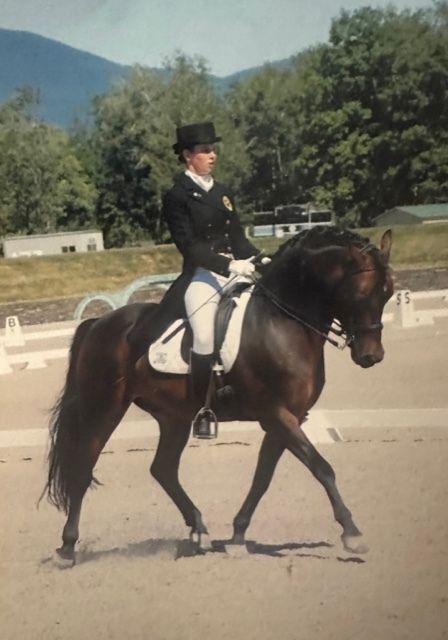 D4K Announces American Connemara Pony Society Scholarship 