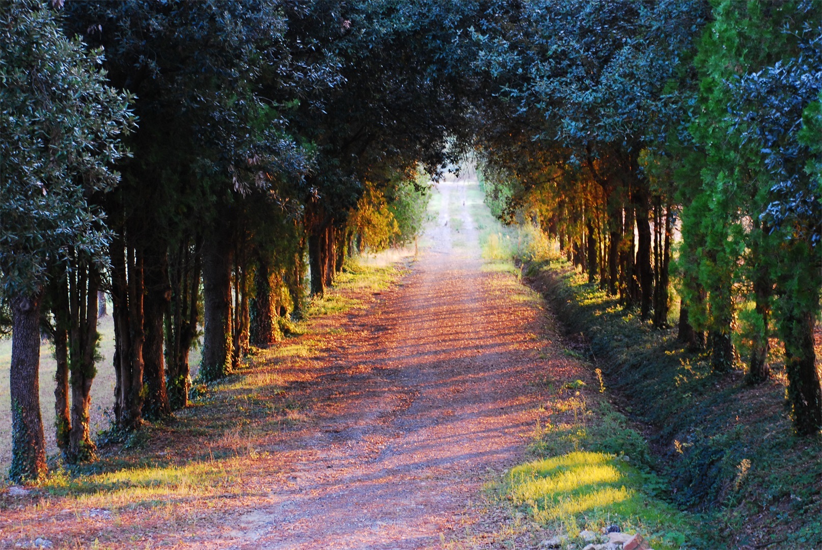 #A17 - "Tuscany" by Tony Vaccaro (18+ Amateur)