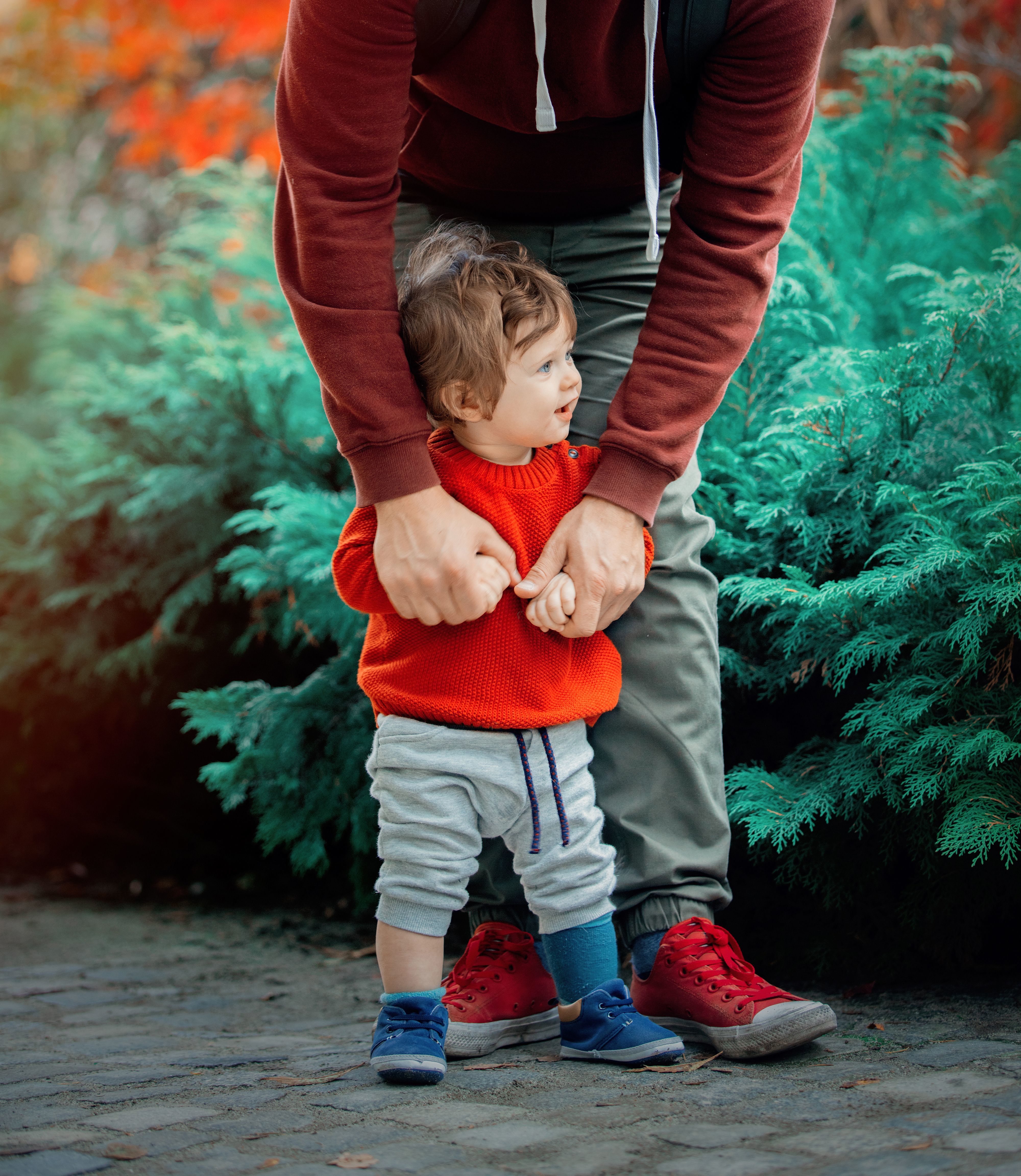 image of a boy holding his dad's hands with green bushes behind them