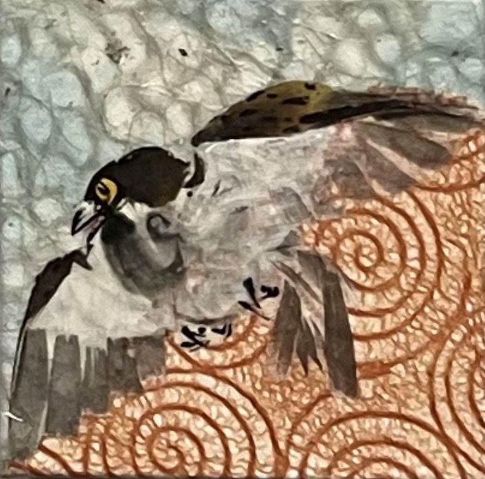 House Sparrow VII