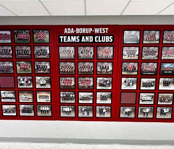 Team Photo Displays are a one-time investment to reuse for years, customized to your needs so no team goes unnoticed.