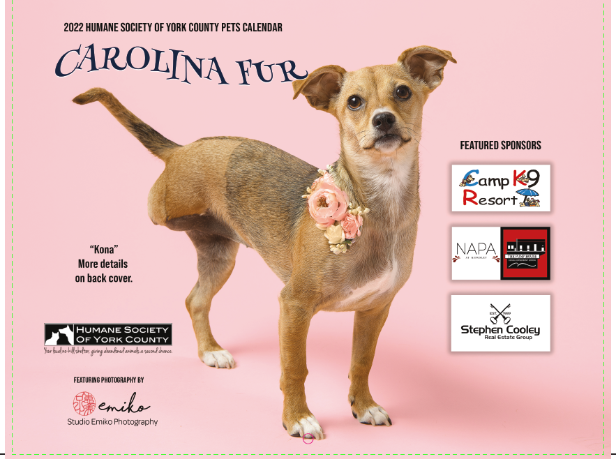 2022 Calendar Fur Calendar : How To Help : Humane Society of York County