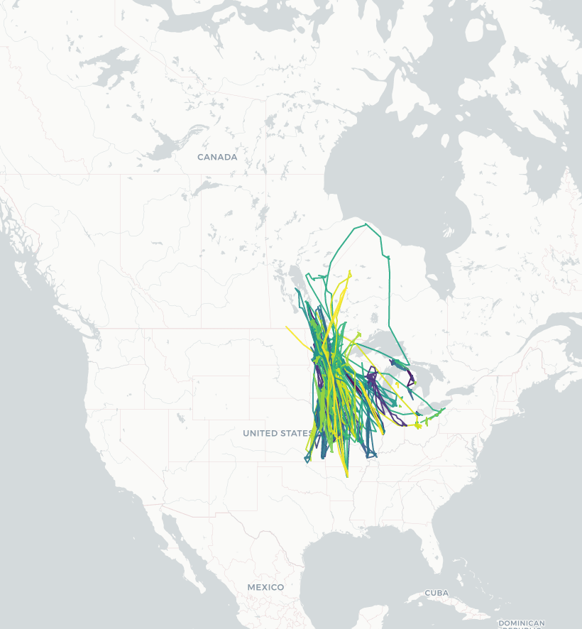 Track a Trumpeter Swan in real time! You can help swan research