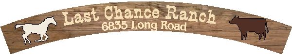 O24963 - Design of Rustic Look Wood or HDU Sign for Last Chance Ranch with Horse and Cow