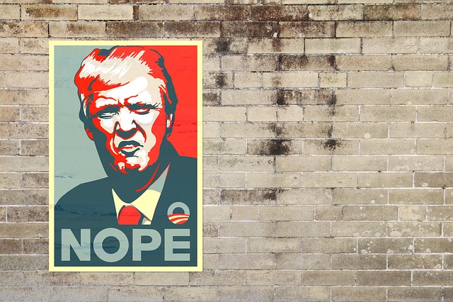 Political Campaign Material