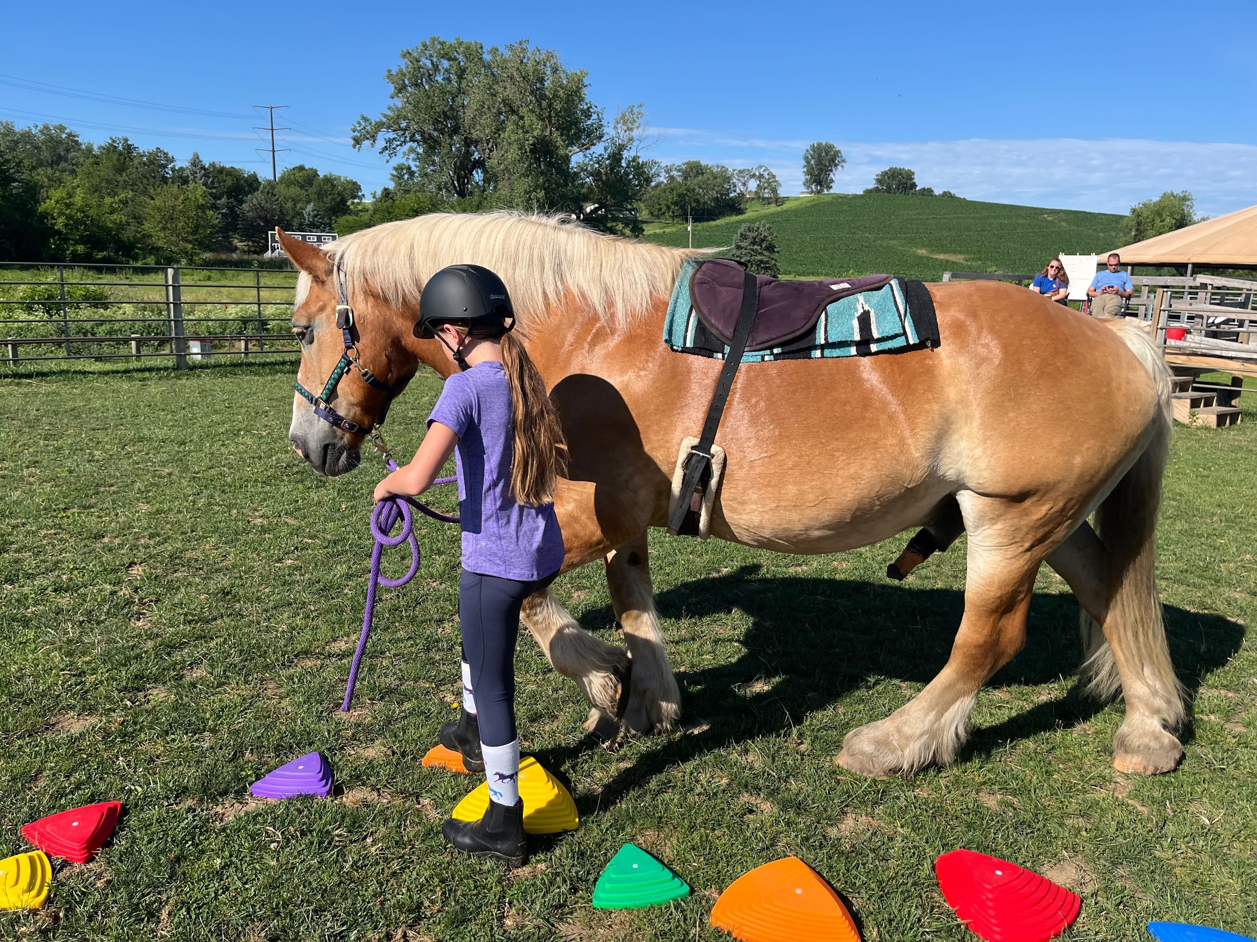 How Do Horses Help?