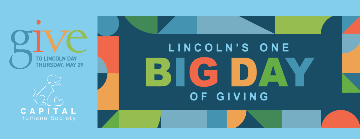 Give To Lincoln Day is May 29th!
