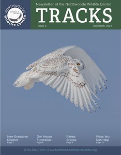 2021 Winter (December) Newsletter