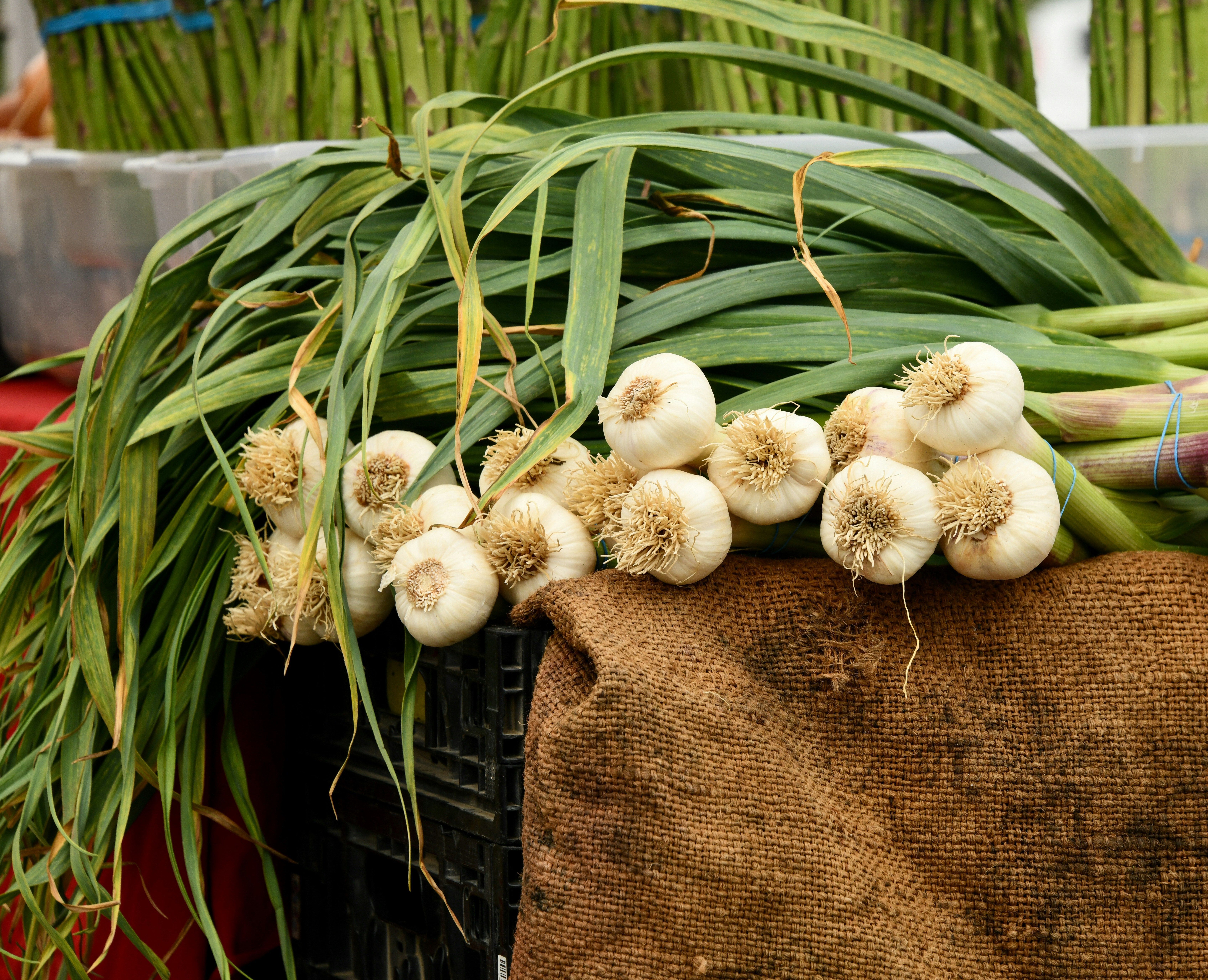 Fresh Garlic - Uncured