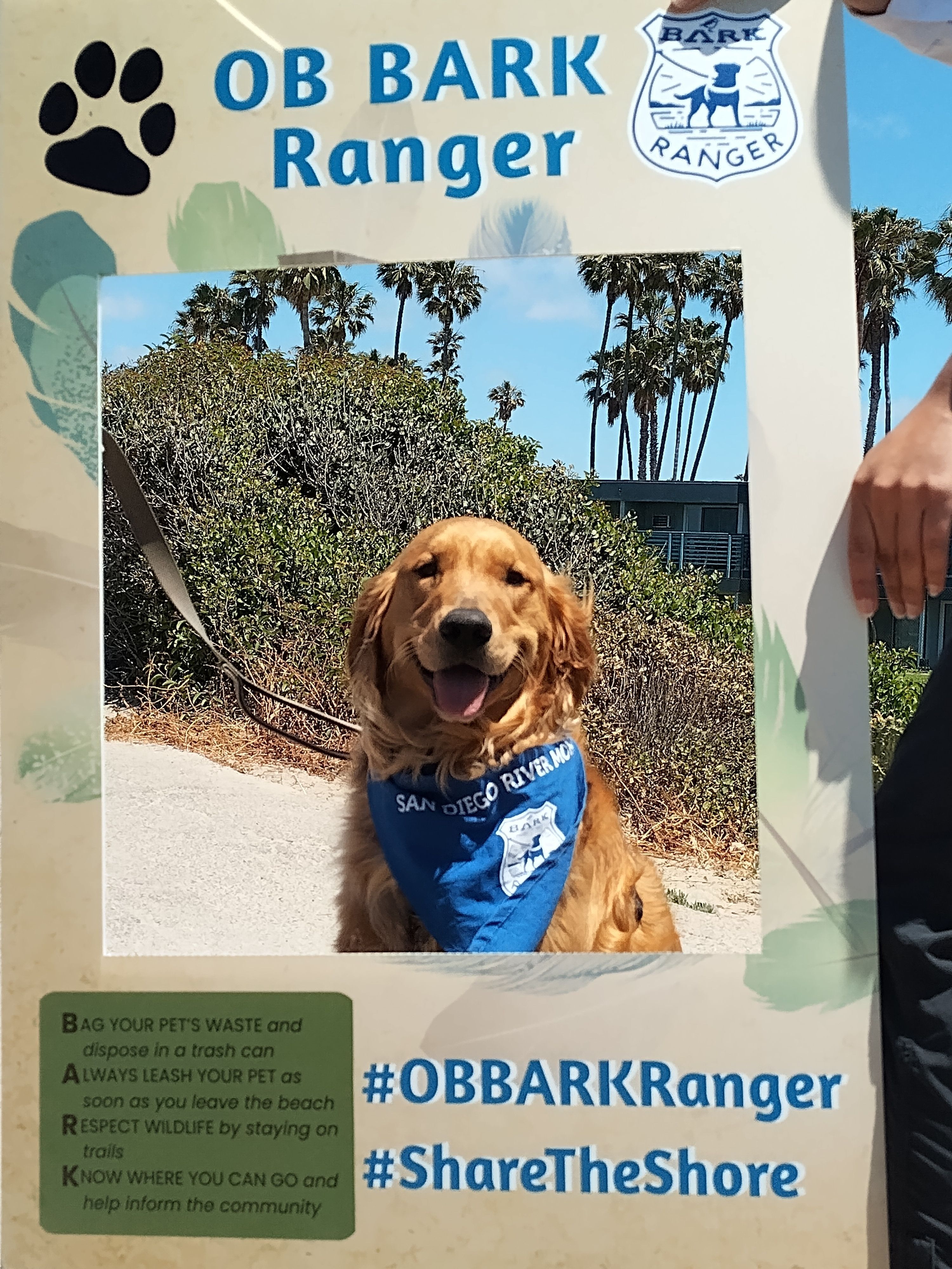 A dog in a BARK Ranger bandana poses for a photo.