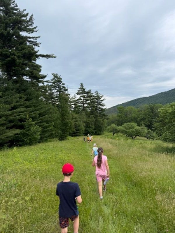 Tamworth Tin Mountaineers