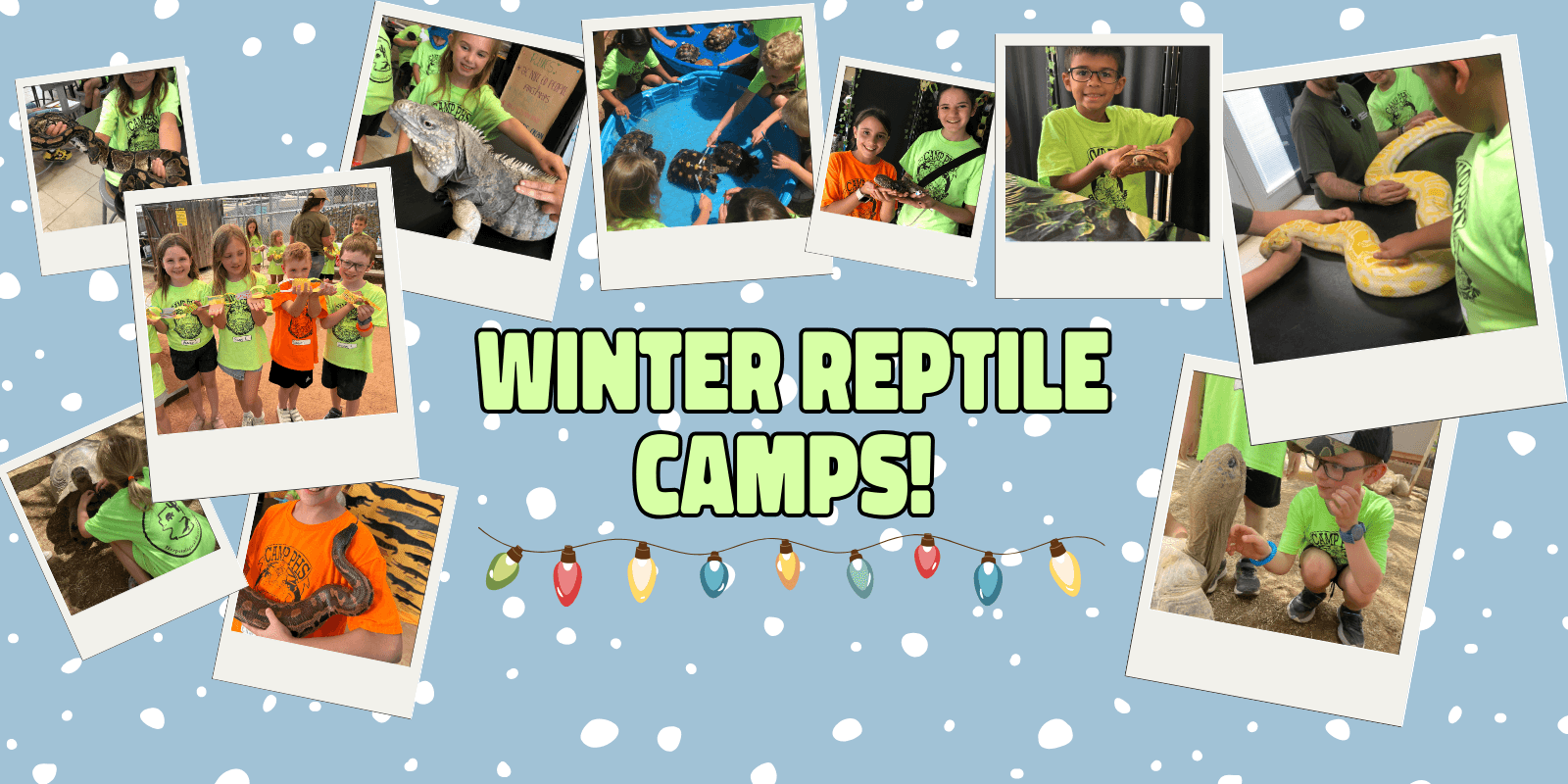 Sign up for Winter Camps!