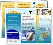 Brochures