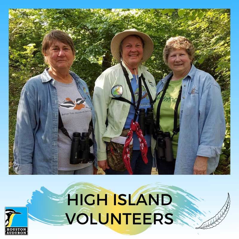 High Island Volunteers