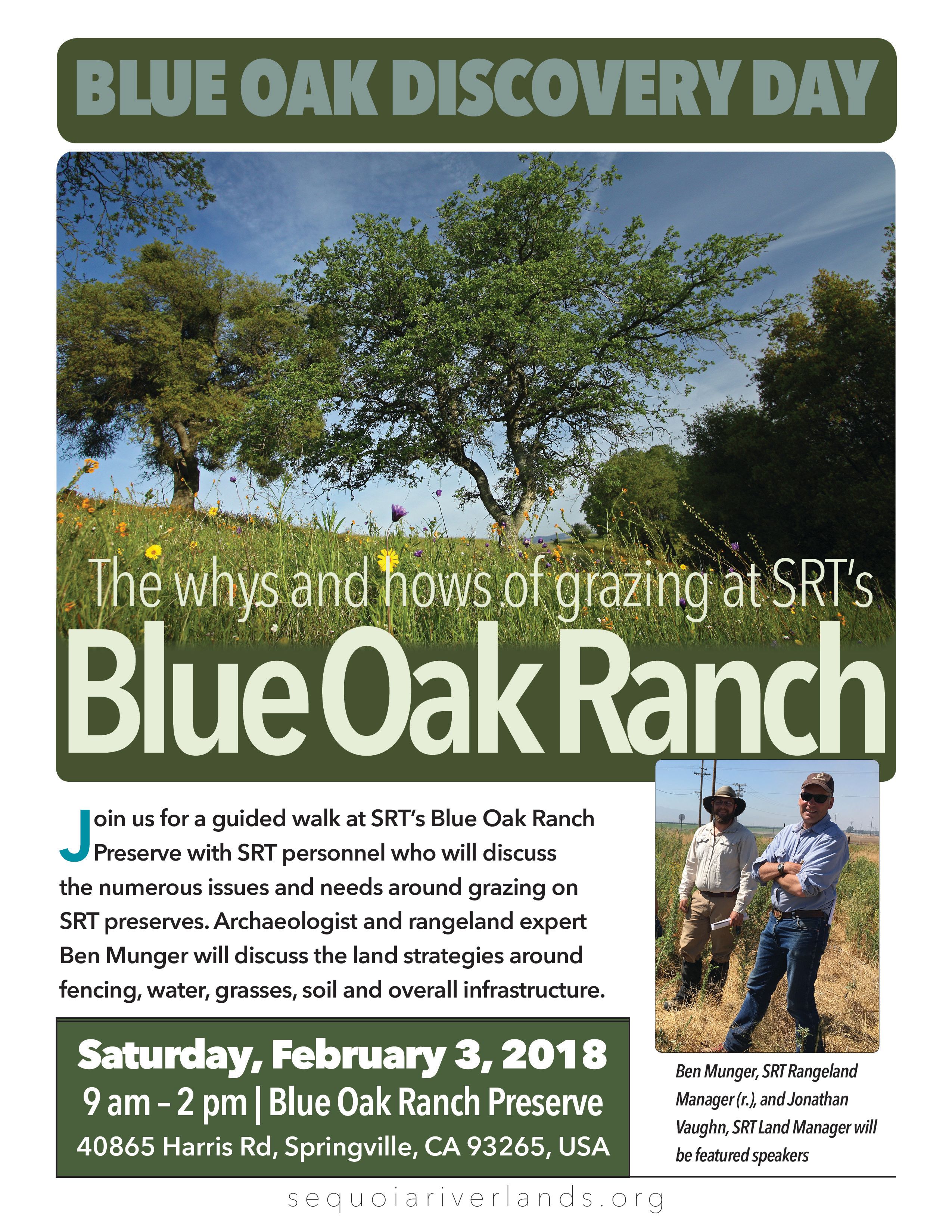 Blue Oak Discovery Day: The Whys and Hows of Grazing