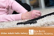 Older Adult Falls Safety