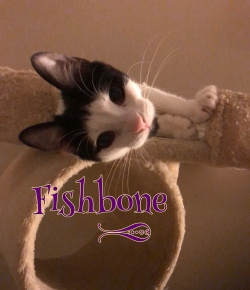 Fishbone