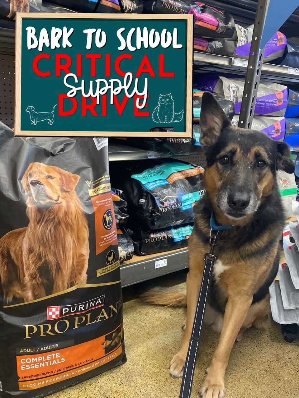 Bark to School Supply Drive