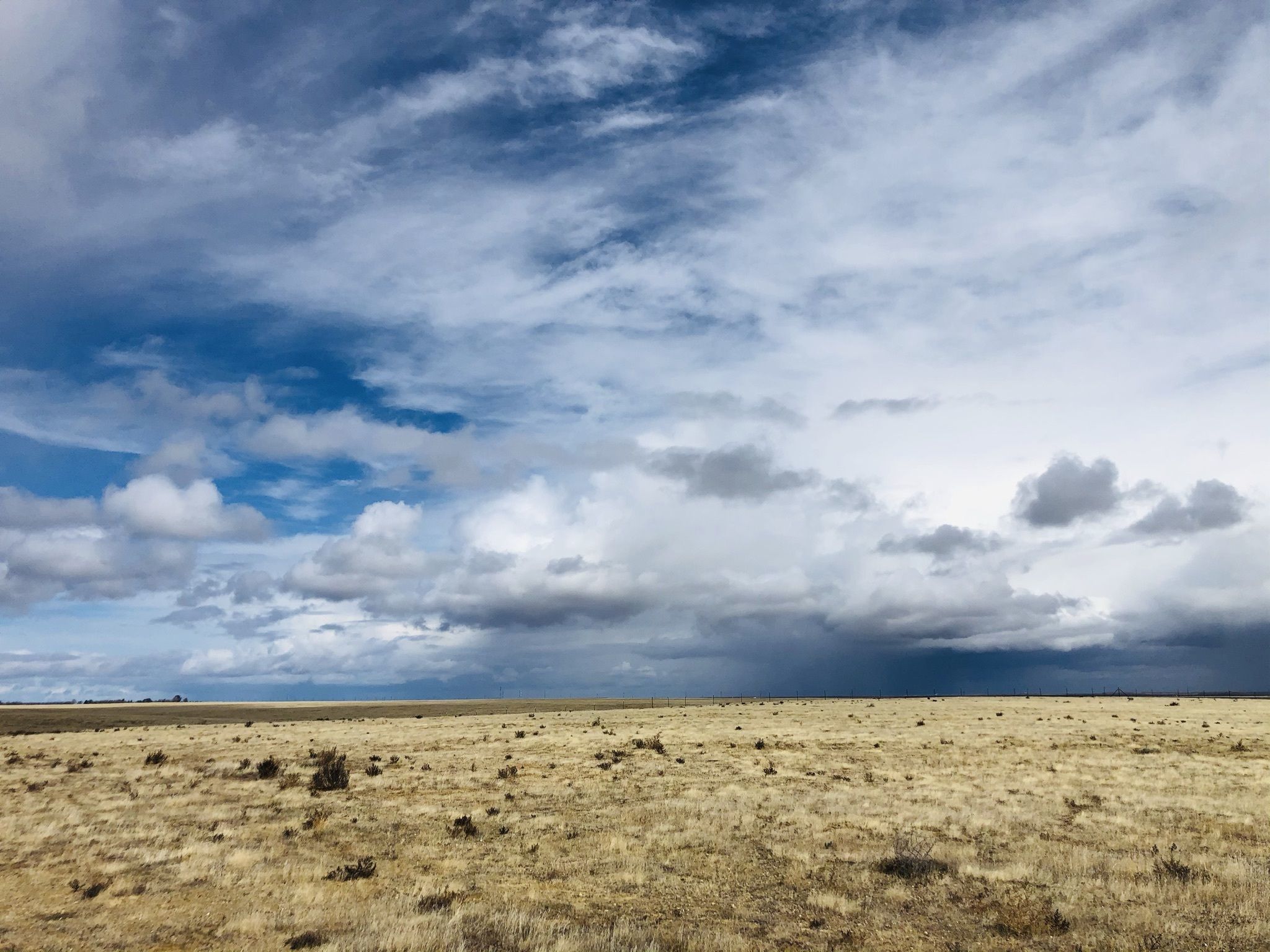 SRT acquires newly-conserved Kern County land in Antelope Plains