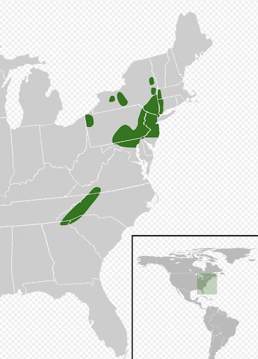 Map with green marks over the Eastern United States and Western North Carolina.