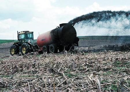 Tractor putting out manure on a field.
