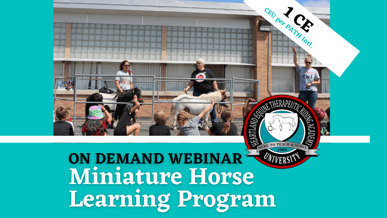 Mini Horse Learning