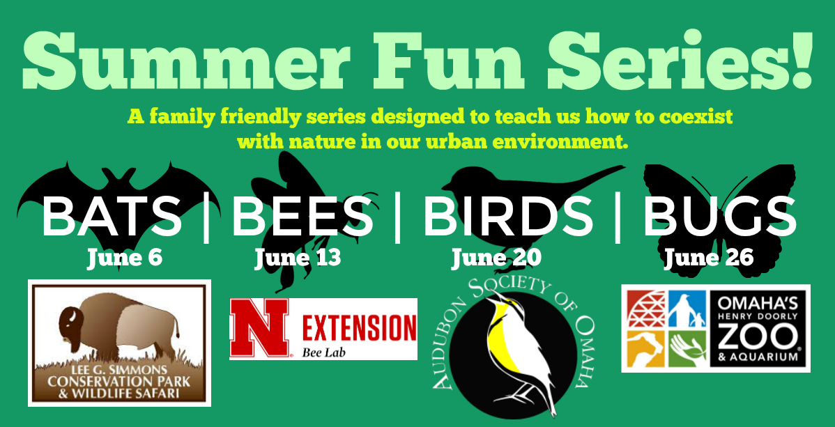 Summer Fun Series: BEES!