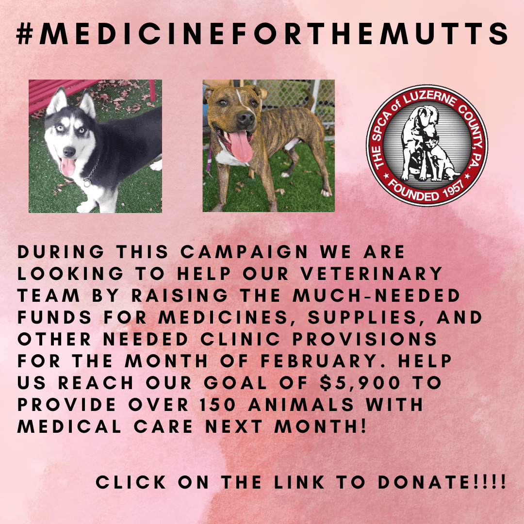 Medicine for the Mutts