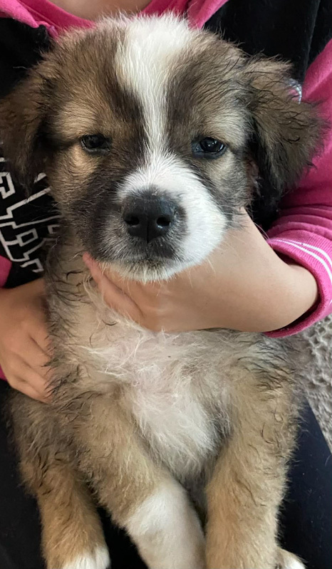 Sammy
