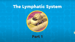 What is the Lymphatic System?