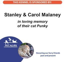 Stan & Carol Malaney