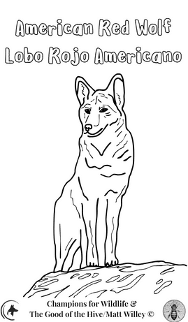 A black and white drawing of two red wolves