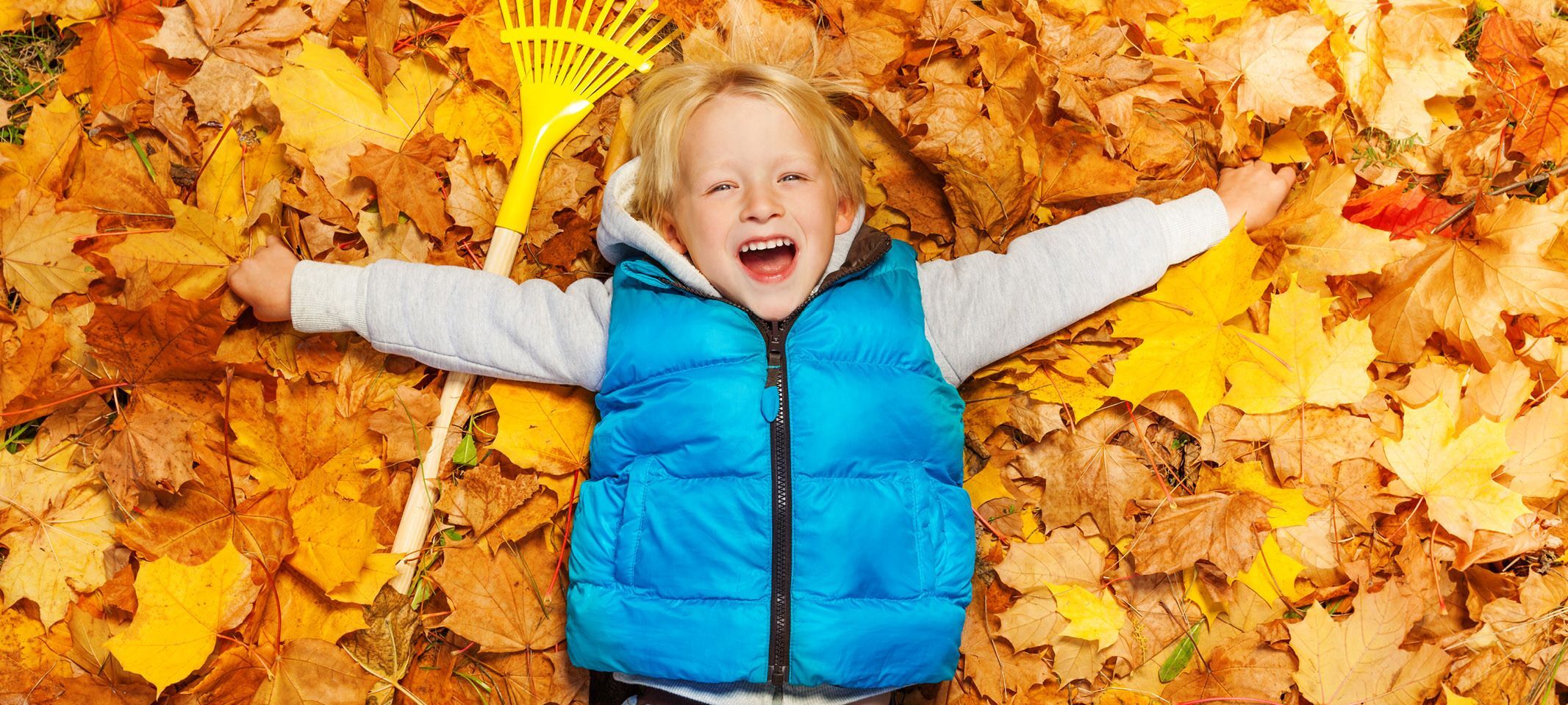 Fall Into Philanthropy