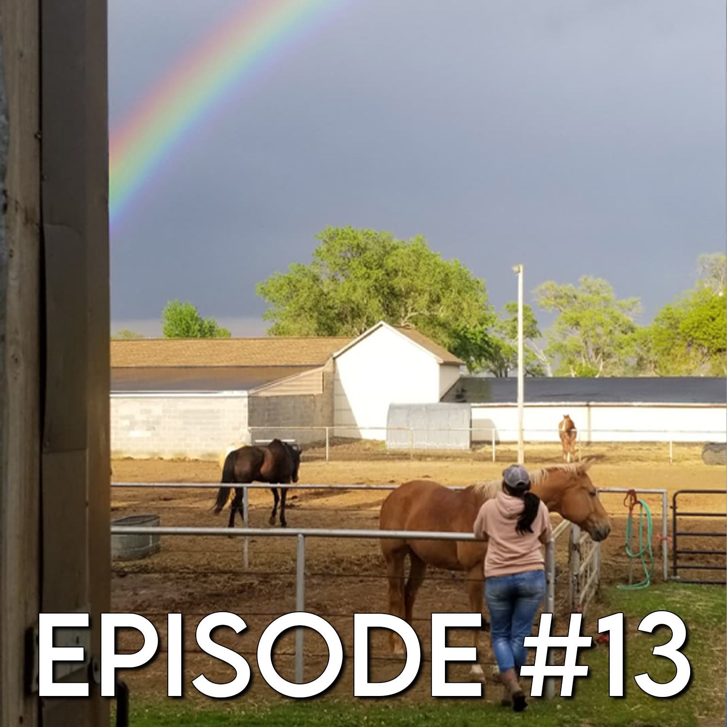 Episode #13 - Megan: Grabbing Courage with the Help of Horses