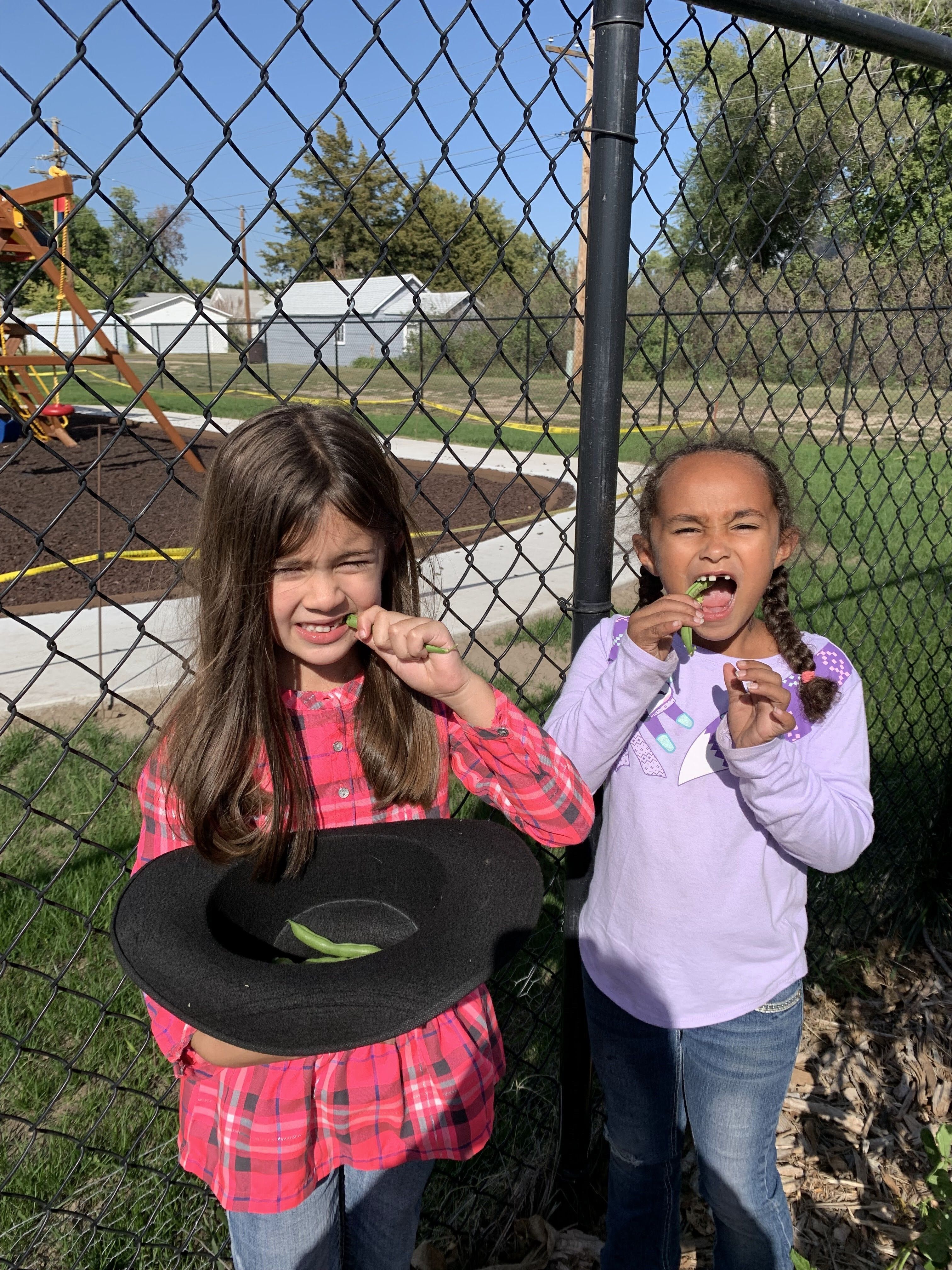 A Land of Weird Potatoes: The Valley Child Development Center Awarded $25,000 Grant to Continue Enhancing Edible Schoolyard Project