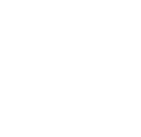 DEVELOPER DNA