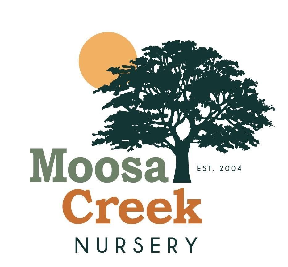 Moosa Creek