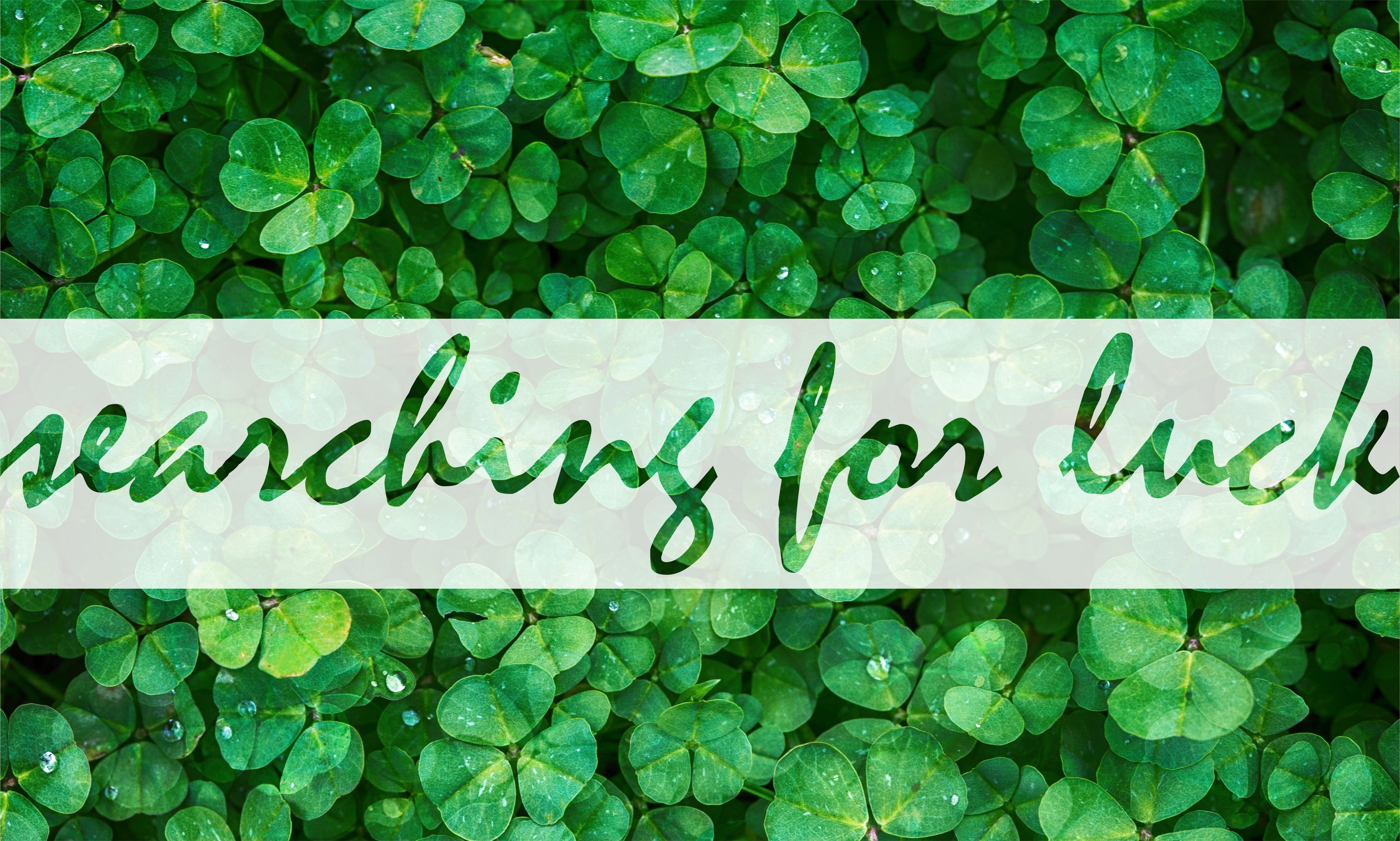 searching for luck, four leaf clovers