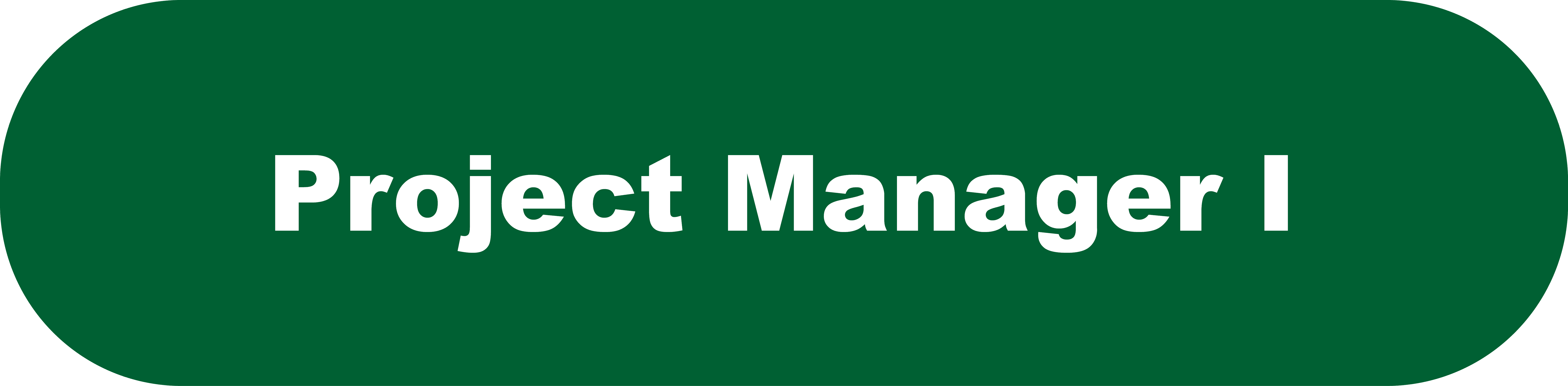 Project Manager I