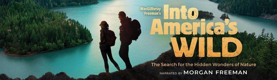 Into America's Wild Film