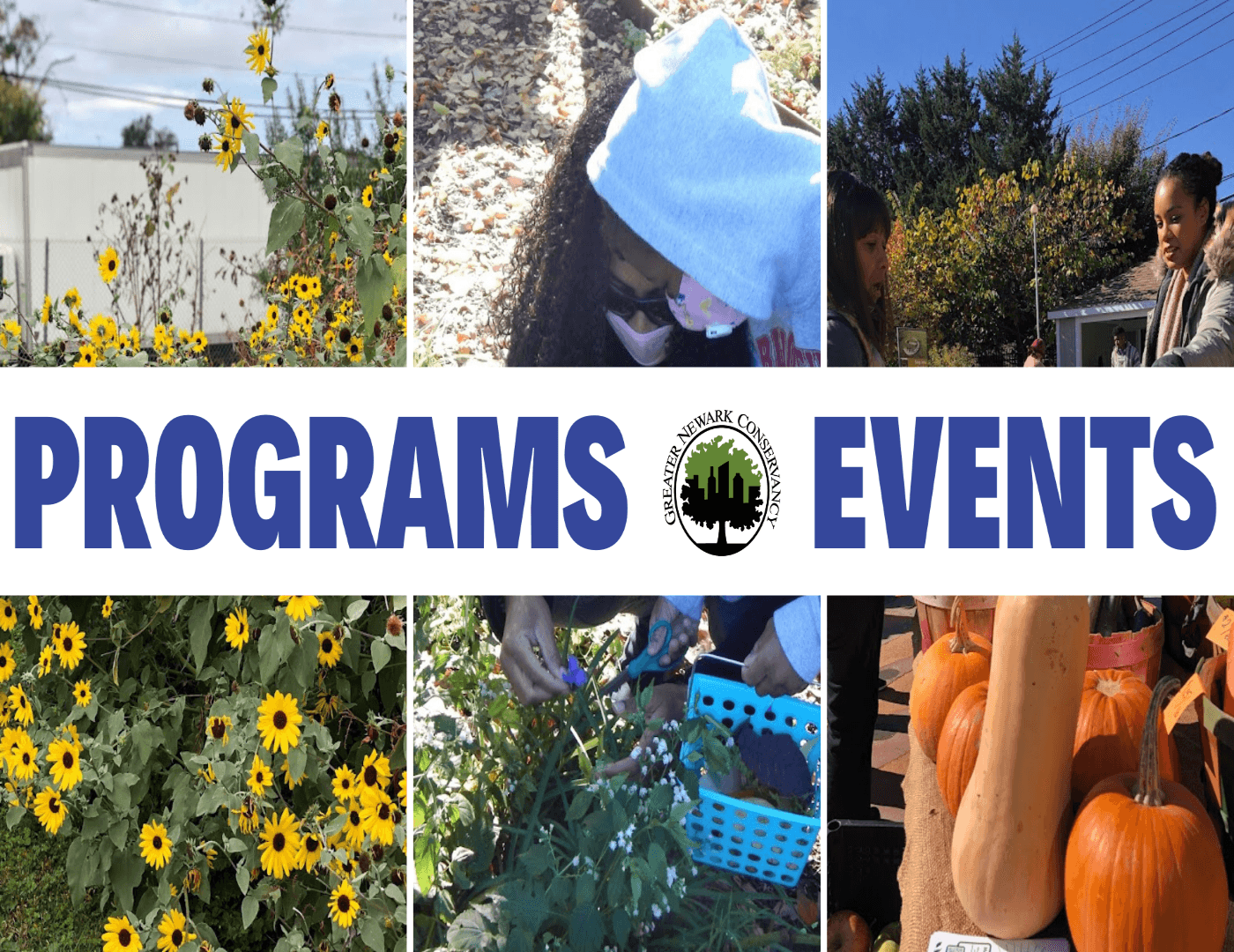 Program and Events