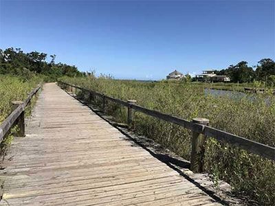 Seabrook birdwalk