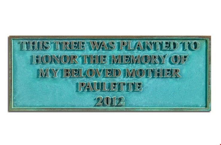 M7824  - Precision Machined Bronze Memorial Tree Plaque with Green Verde Patina