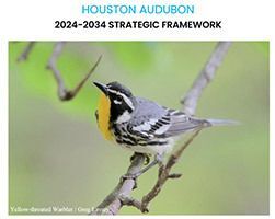 Houston Audubon's 2024-2034 Strategic Framework