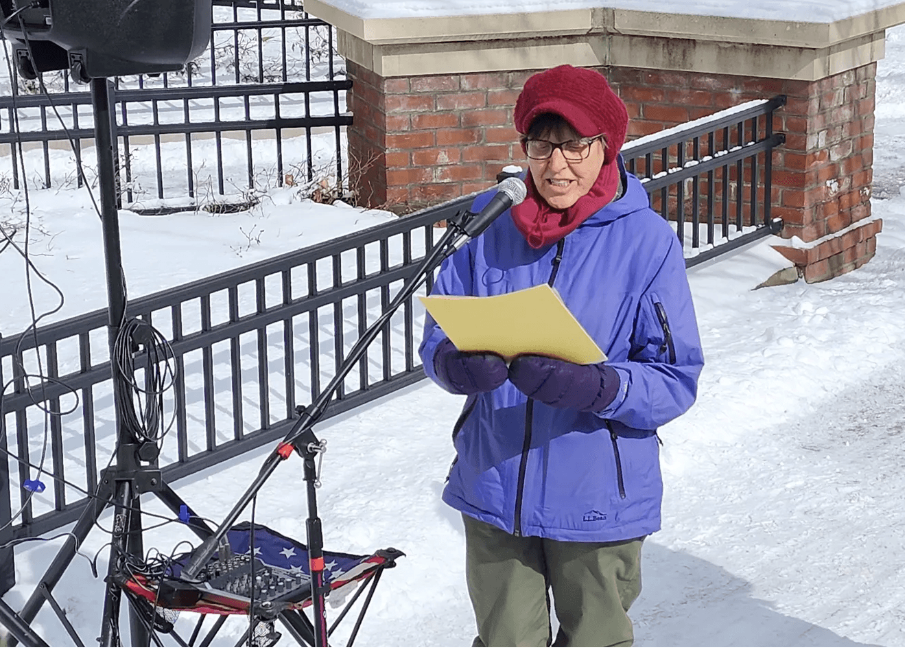 'In a dangerous situation in our country': Erie protest targets Trump, Musk actions