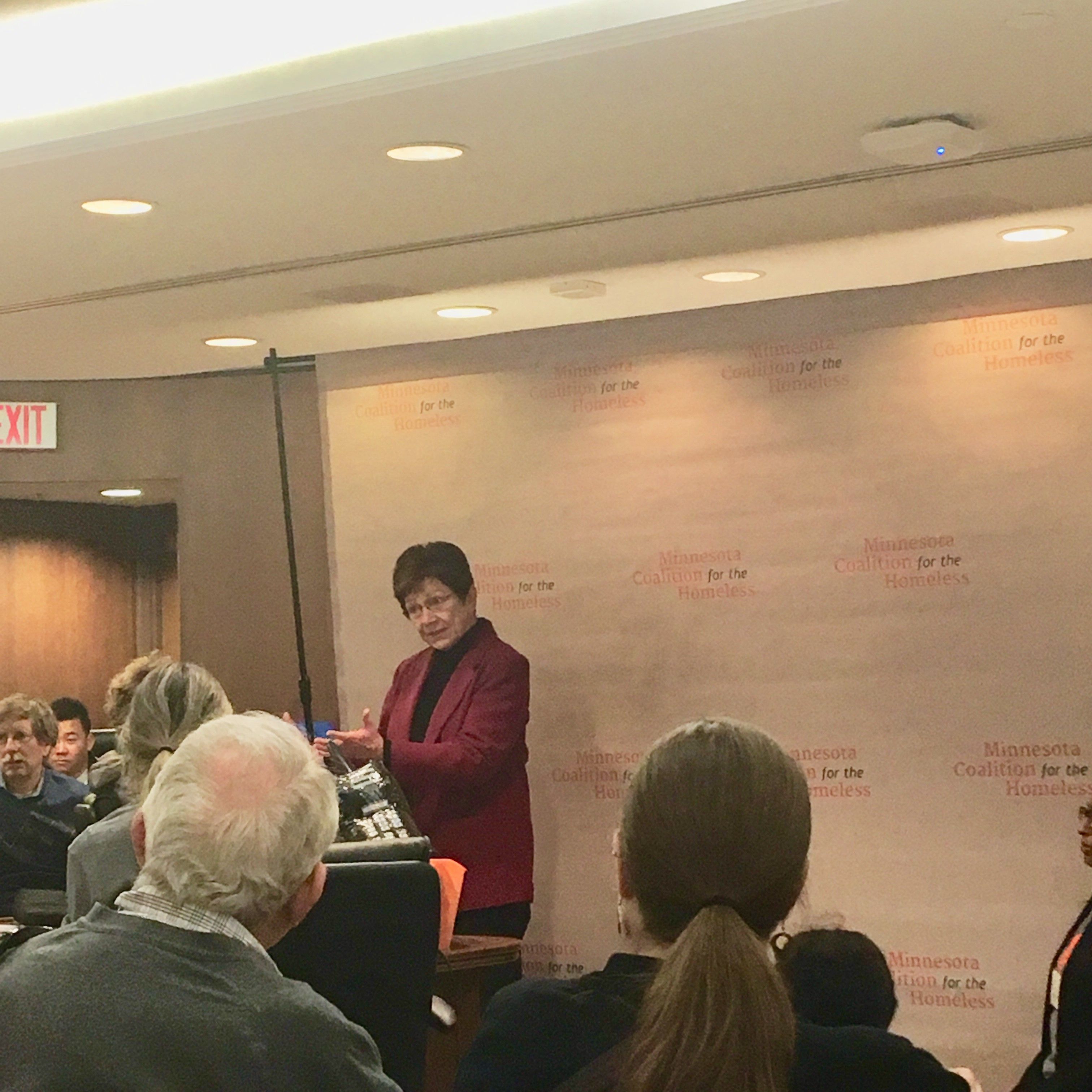 Rep. Alice Hausman speaking to Day on the Hill participants