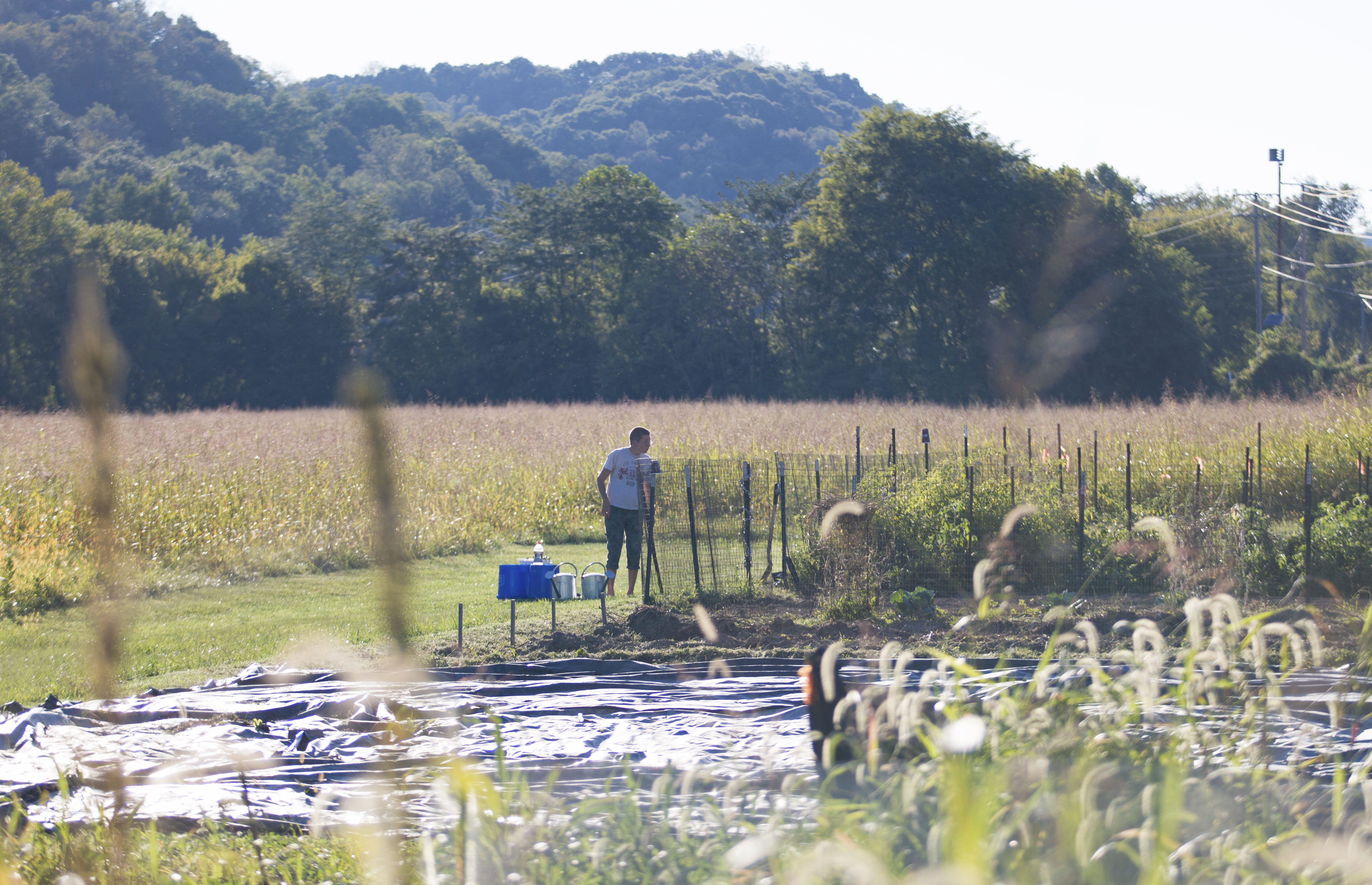 Nelsonville Community Garden Work Party