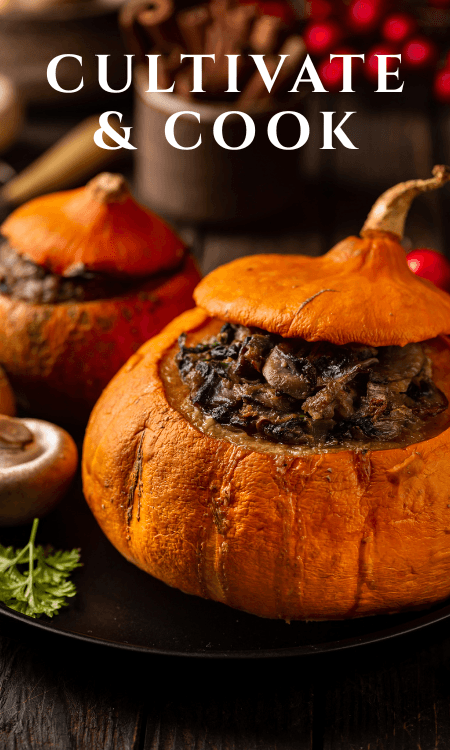 Harvest & Feast