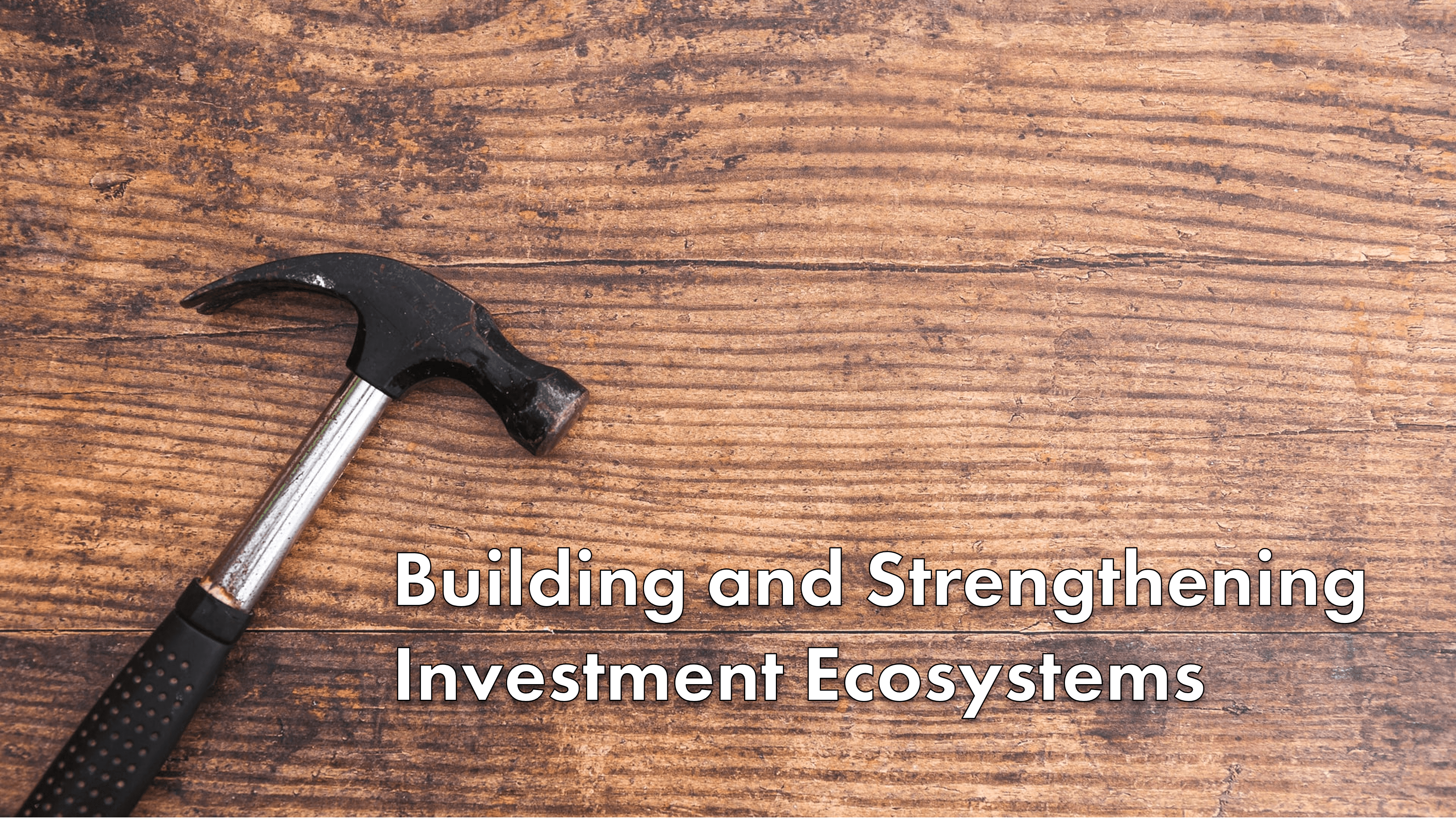 Building and Strengthening Investment Ecosystems
